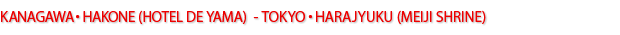 KANAGAWA・HAKONE(HOTEL DE YAMA) - TOKYO・HARAJYUKU(MEIJI SHRINE)