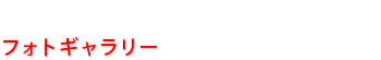 フォトギャラリー