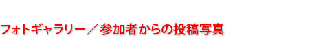 フォトギャラリー／参加者からの投稿写真