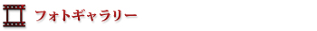 フォトギャラリー