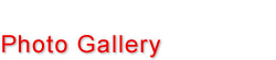 Photo Gallery