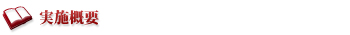 実施概要
